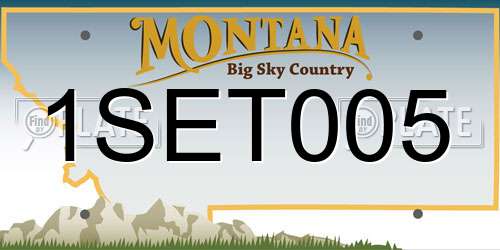 1SET005 Montana License Plate
