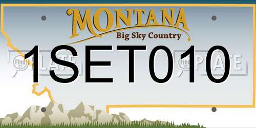 1SET010 Montana License Plate