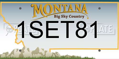 1SET81 Montana License Plate