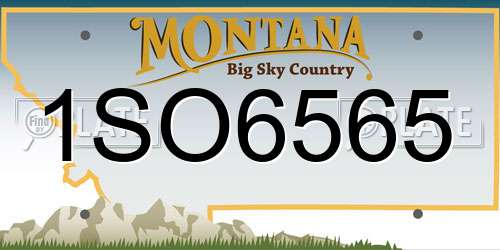 1SO6565 Montana License Plate