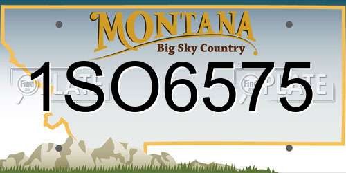 1SO6575 Montana License Plate