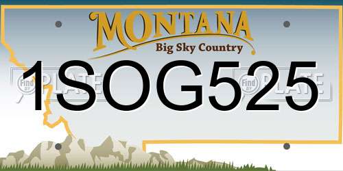 1SOG525 Montana License Plate