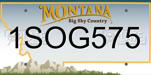 1SOG575 Montana License Plate