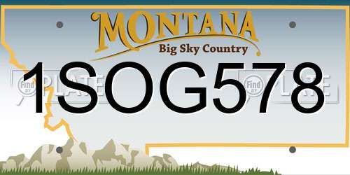 1SOG578 Montana License Plate