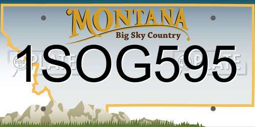 1SOG595 Montana License Plate