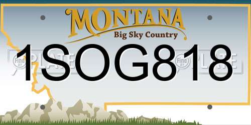 1SOG818 Montana License Plate