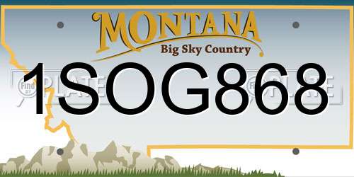 1SOG868 Montana License Plate