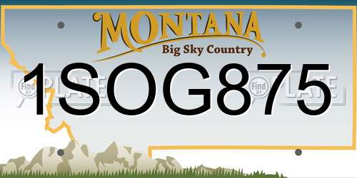 1SOG875 Montana License Plate