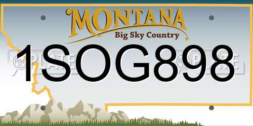 1SOG898 Montana License Plate