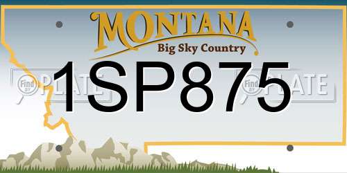 1SP875 Montana License Plate