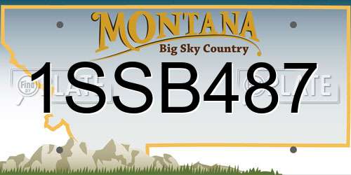 1SSB487 Montana License Plate