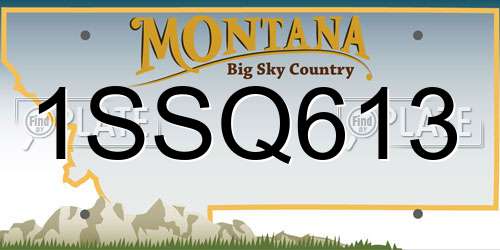 1SSQ613 Montana License Plate