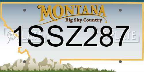 1SSZ287 Montana License Plate