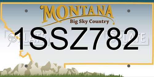 1SSZ782 Montana License Plate