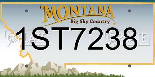 1ST7238 Montana License Plate
