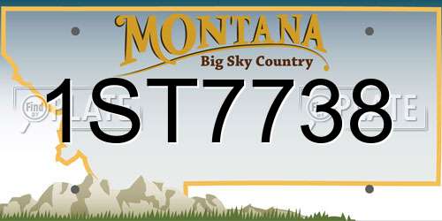 1ST7738 Montana License Plate