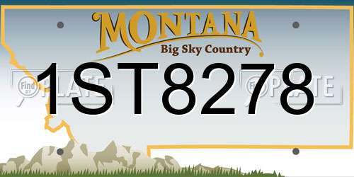 1ST8278 Montana License Plate