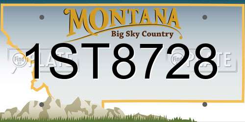 1ST8728 Montana License Plate
