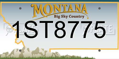 1ST8775 Montana License Plate