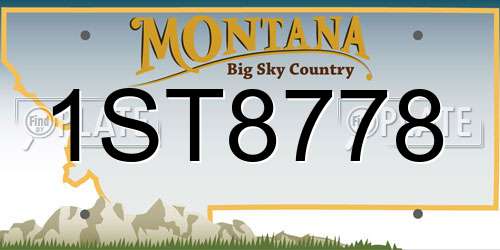 1ST8778 Montana License Plate