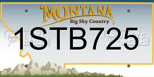 1STB725 Montana License Plate