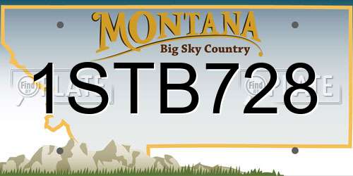 1STB728 Montana License Plate