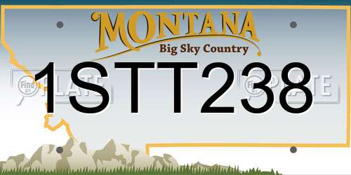 1STT238 Montana License Plate