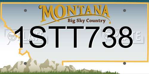 1STT738 Montana License Plate