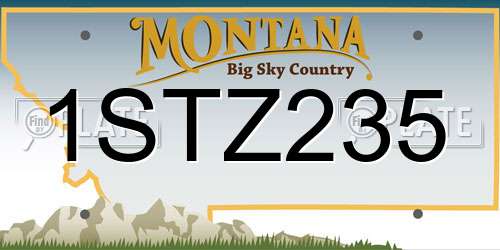 1STZ235 Montana License Plate