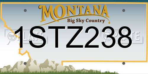 1STZ238 Montana License Plate
