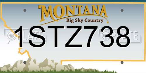 1STZ738 Montana License Plate