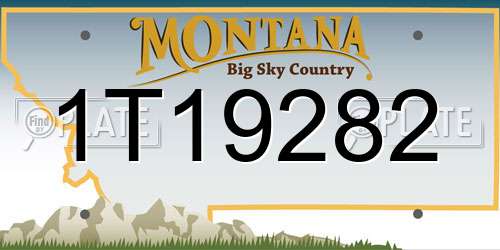 1T19282 Montana License Plate