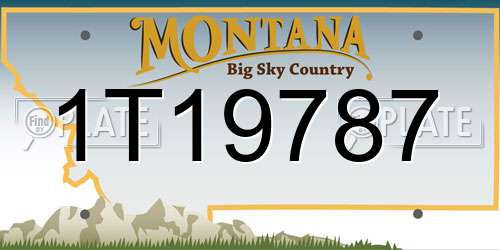 1T19787 Montana License Plate