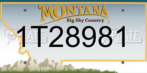 1T28981 Montana License Plate