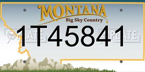 1T45841 Montana License Plate