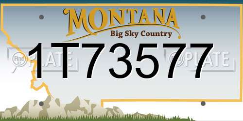 1T73577 Montana License Plate