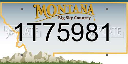 1T75981 Montana License Plate