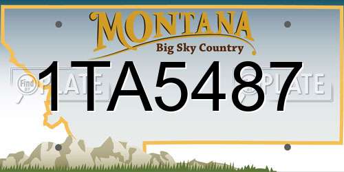 1TA5487 Montana License Plate