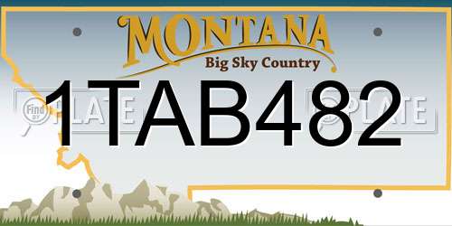 1TAB482 Montana License Plate