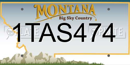 1TAS474 Montana License Plate