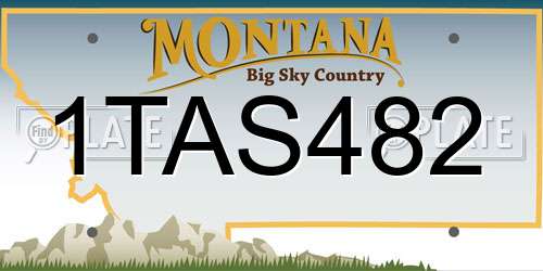 1TAS482 Montana License Plate