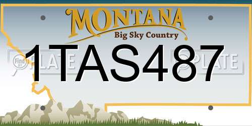 1TAS487 Montana License Plate
