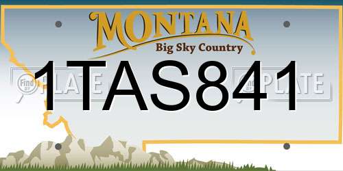 1TAS841 Montana License Plate