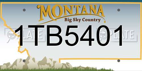1TB5401 Montana License Plate