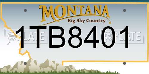 1TB8401 Montana License Plate