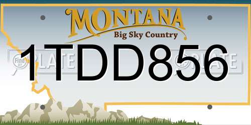 1TDD856 Montana License Plate