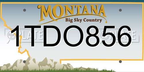 1TDO856 Montana License Plate