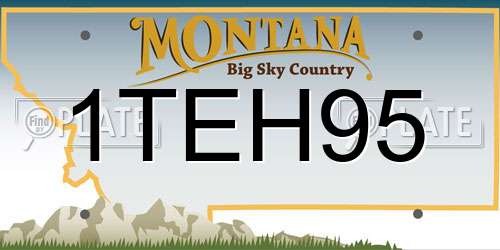 1TEH95 Montana License Plate