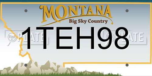 1TEH98 Montana License Plate