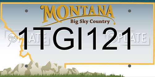 1TGI121 Montana License Plate
